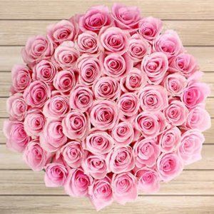 Meet your Posher, Dora